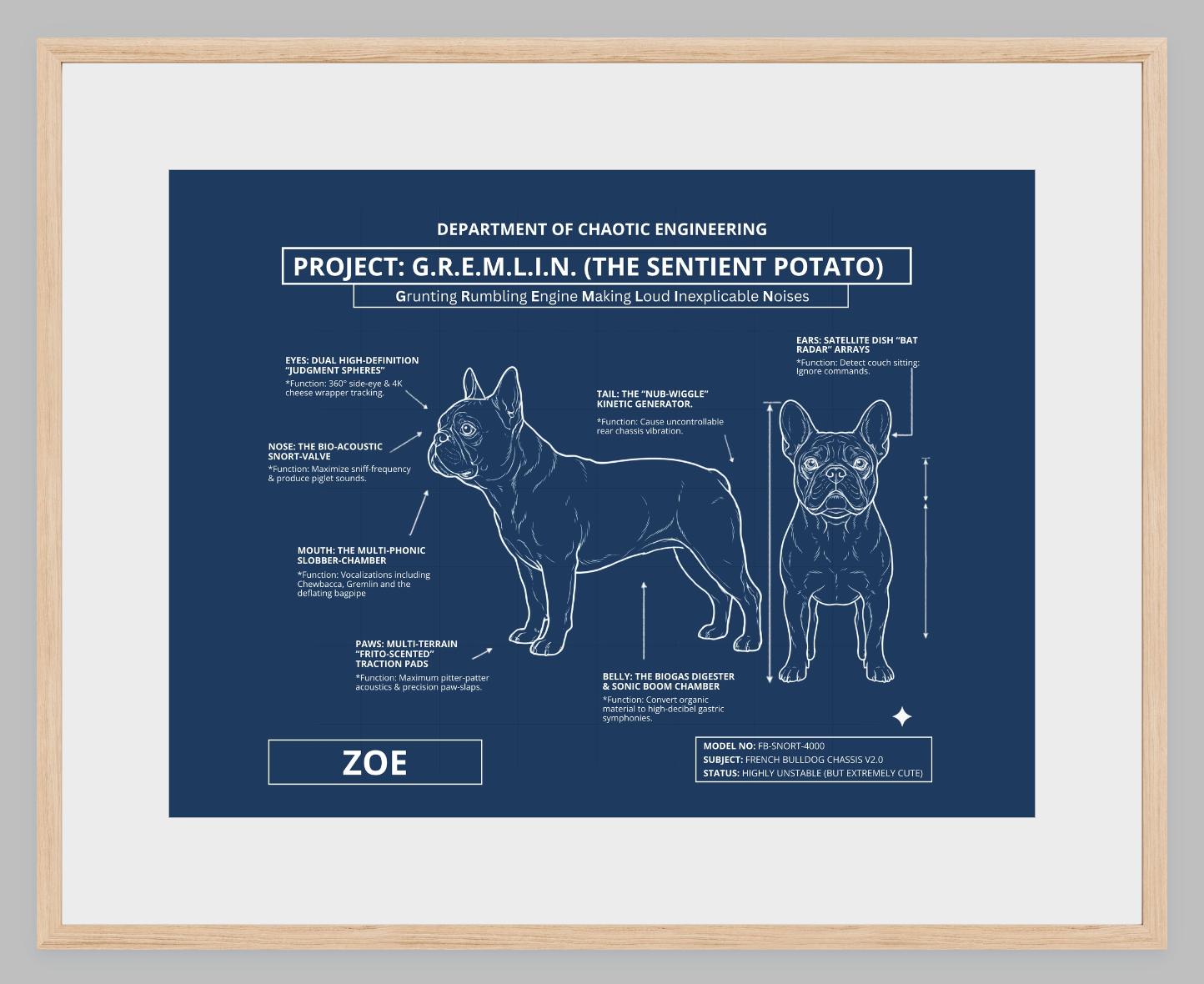 The Personalized Frenchie Blueprint