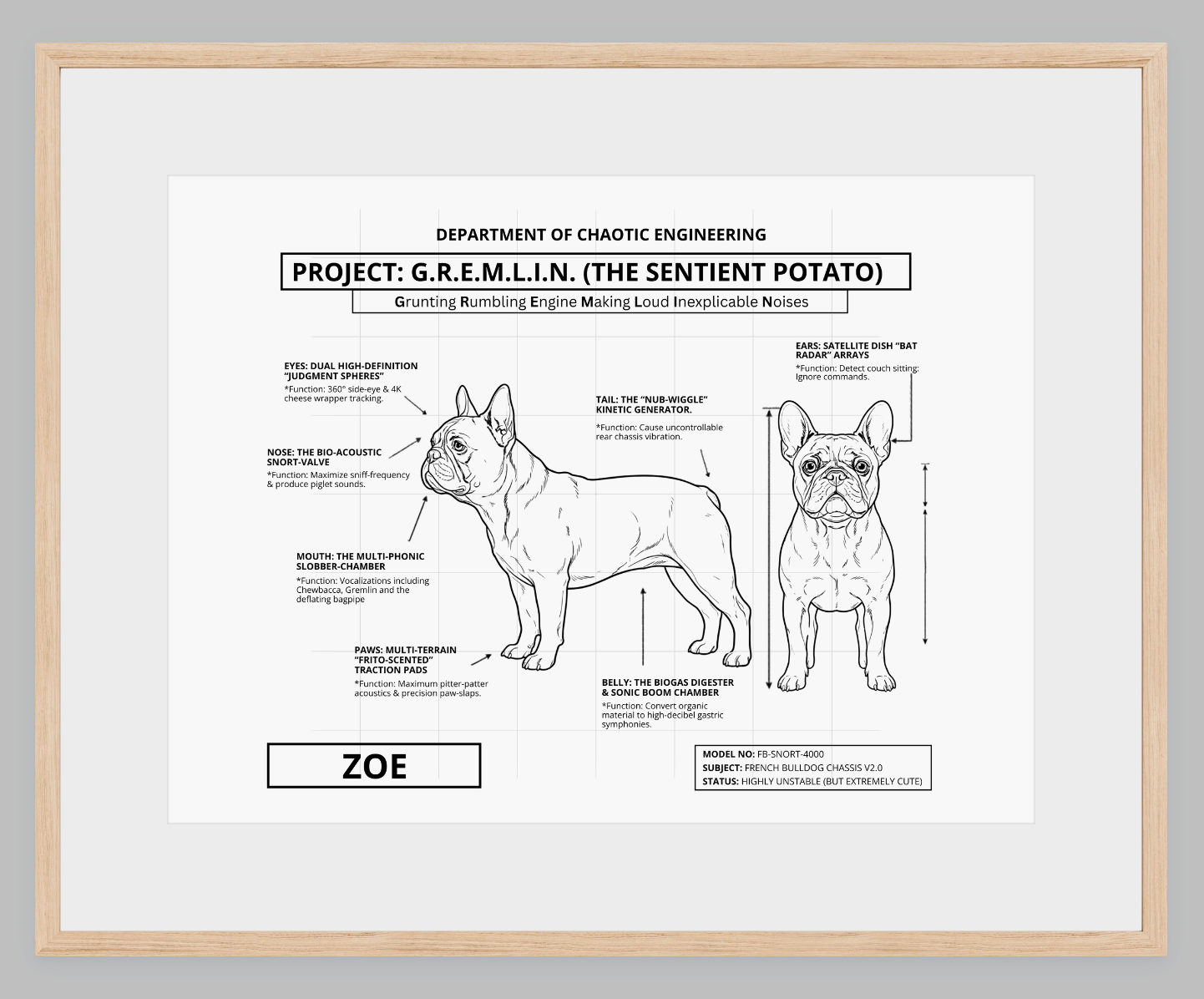 The Personalized Frenchie Blueprint