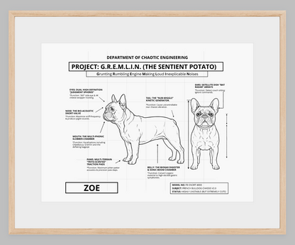 The Personalized Frenchie Blueprint