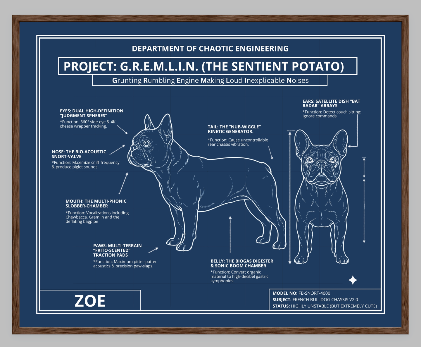 The Personalized Frenchie Blueprint