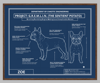 The Personalized Frenchie Blueprint