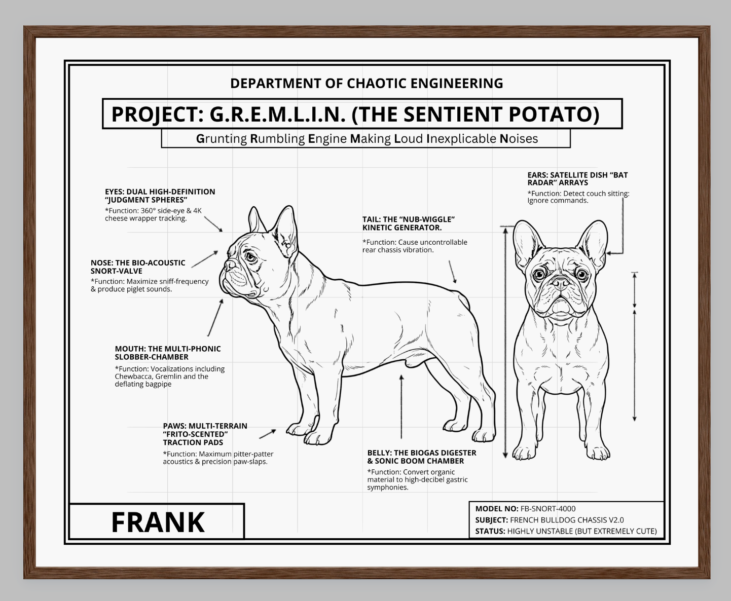 The Personalized Frenchie Blueprint