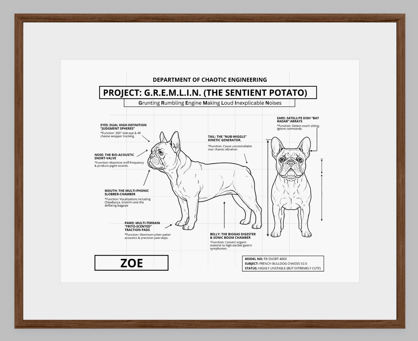 The Personalized Frenchie Blueprint