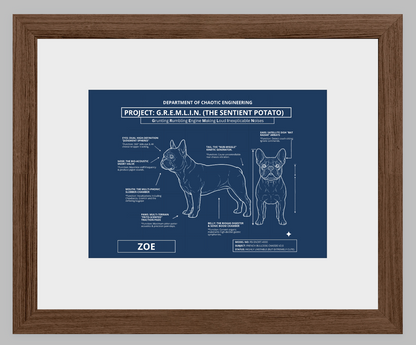 The Personalized Frenchie Blueprint