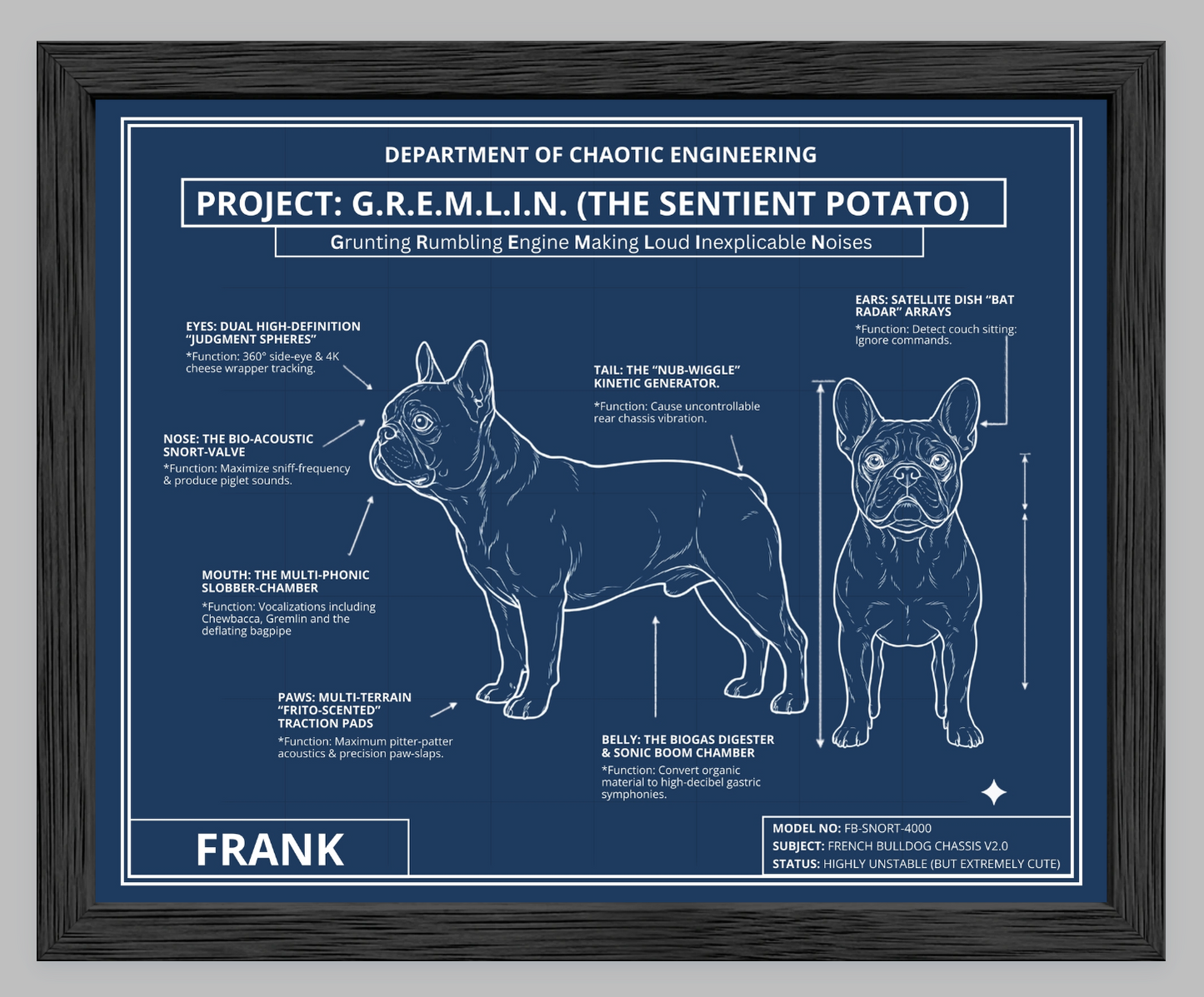 The Personalized Frenchie Blueprint