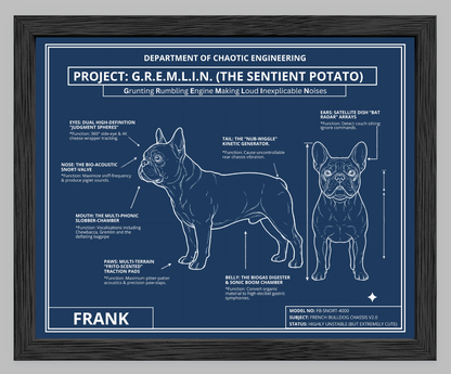 The Personalized Frenchie Blueprint