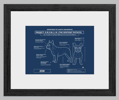 The Personalized Frenchie Blueprint