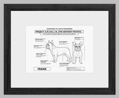 The Personalized Frenchie Blueprint
