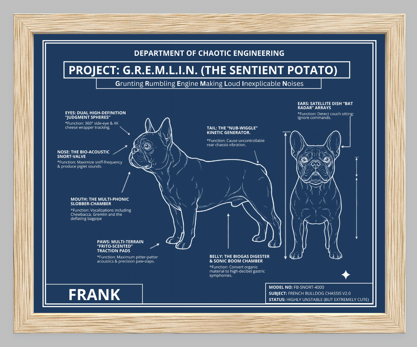 The Personalized Frenchie Blueprint