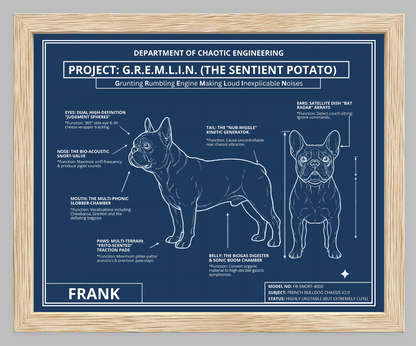 The Personalized Frenchie Blueprint