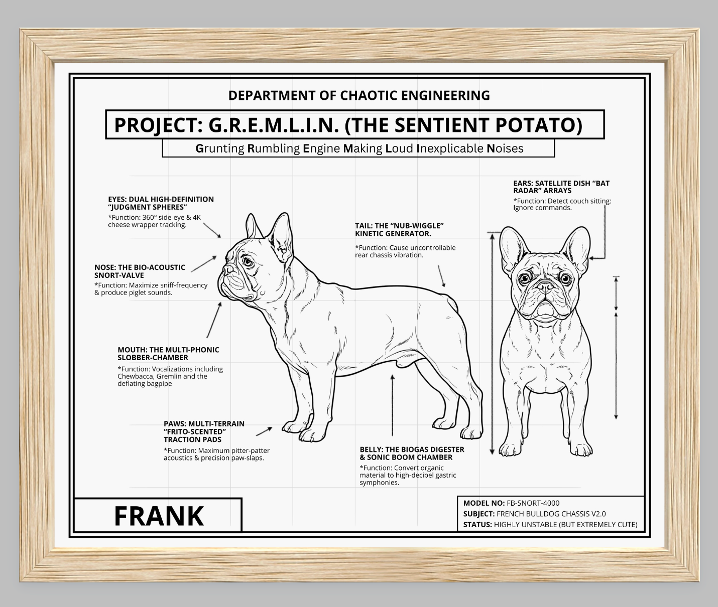 The Personalized Frenchie Blueprint