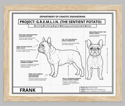 The Personalized Frenchie Blueprint