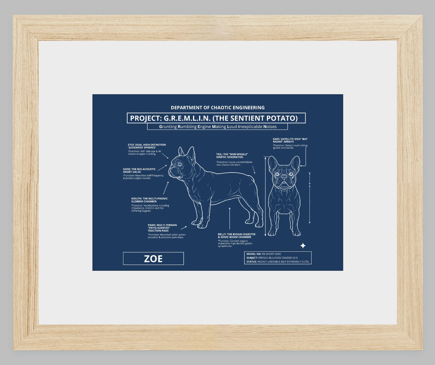 The Personalized Frenchie Blueprint