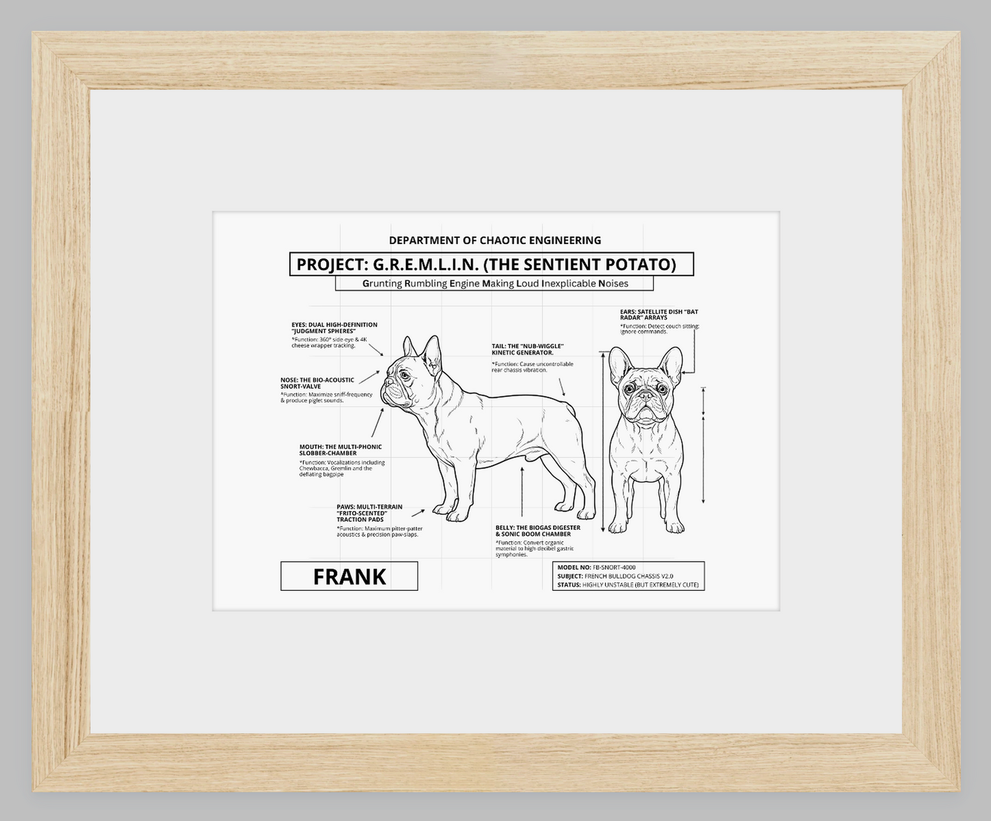 The Personalized Frenchie Blueprint