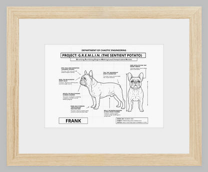 The Personalized Frenchie Blueprint