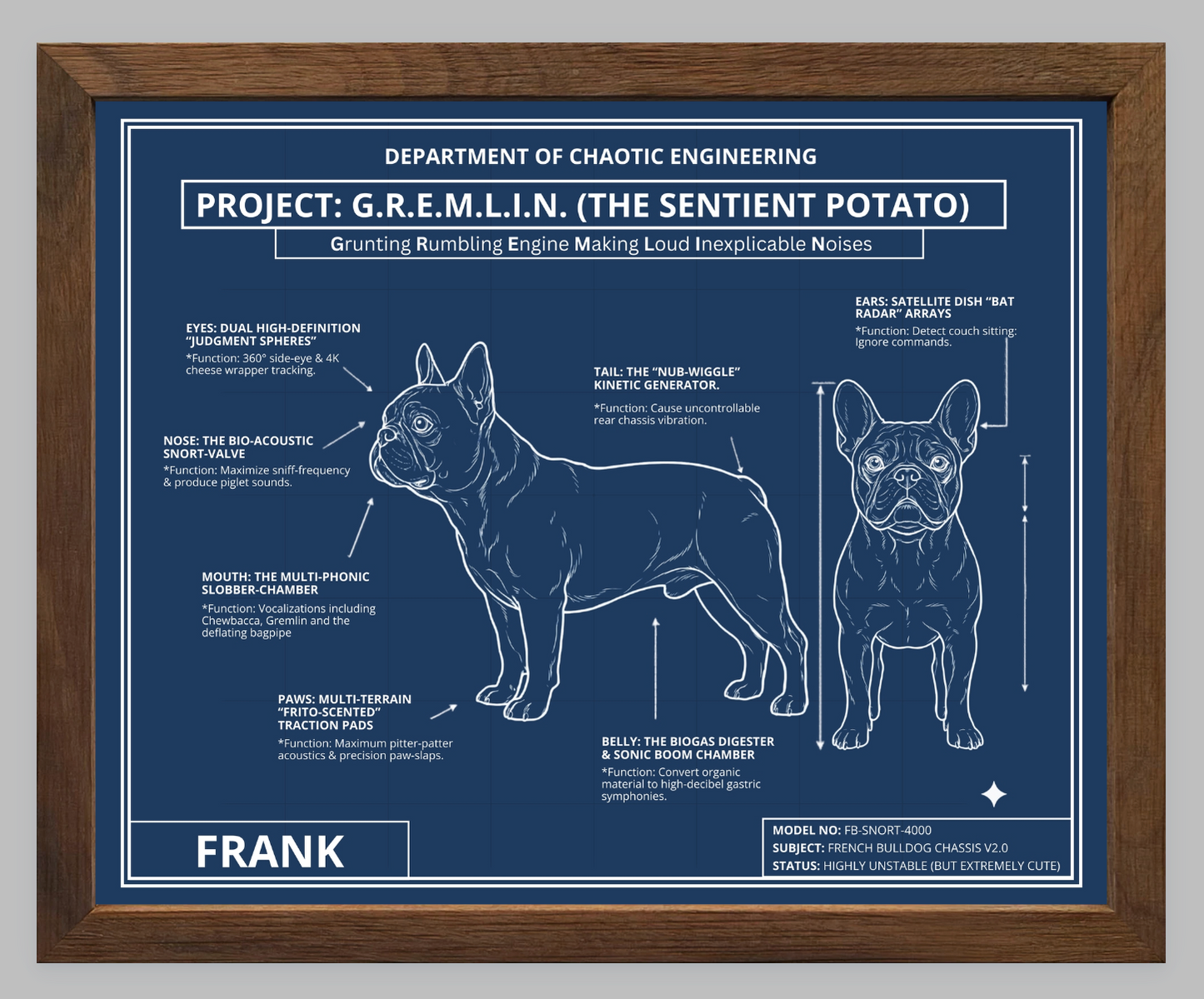 The Personalized Frenchie Blueprint