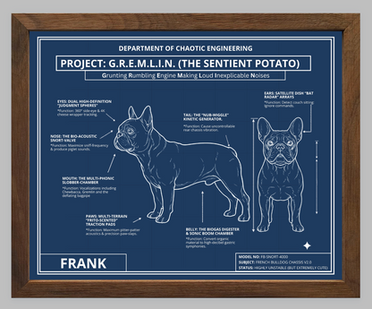 The Personalized Frenchie Blueprint