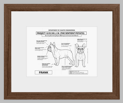 The Personalized Frenchie Blueprint