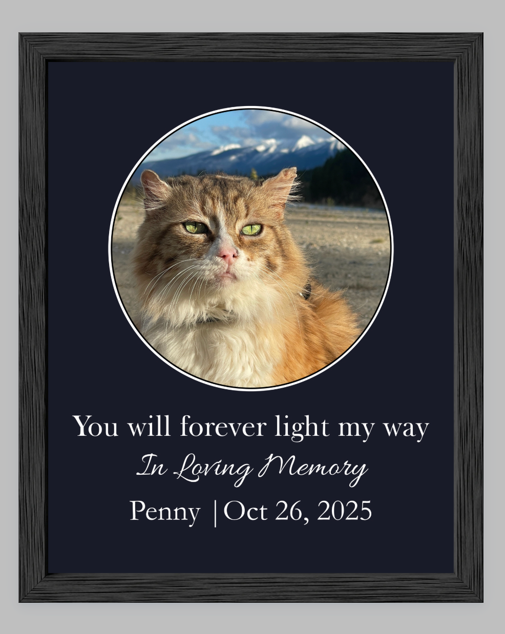 You Will Forever Light My Way Memorial Tribute