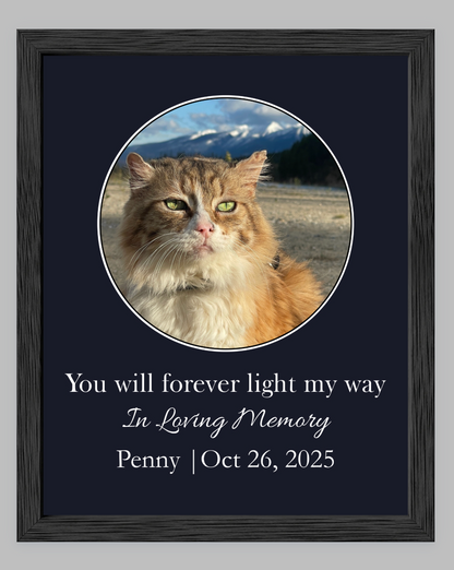 You Will Forever Light My Way Memorial Tribute