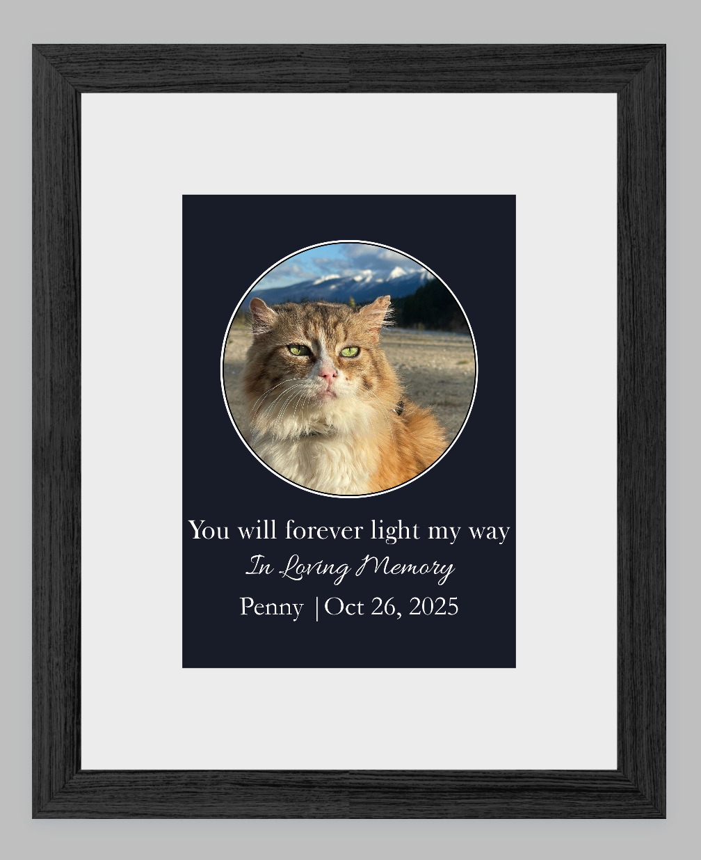 You Will Forever Light My Way Memorial Tribute