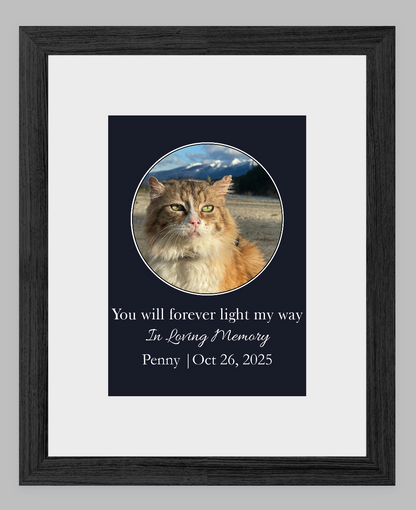 You Will Forever Light My Way Memorial Tribute