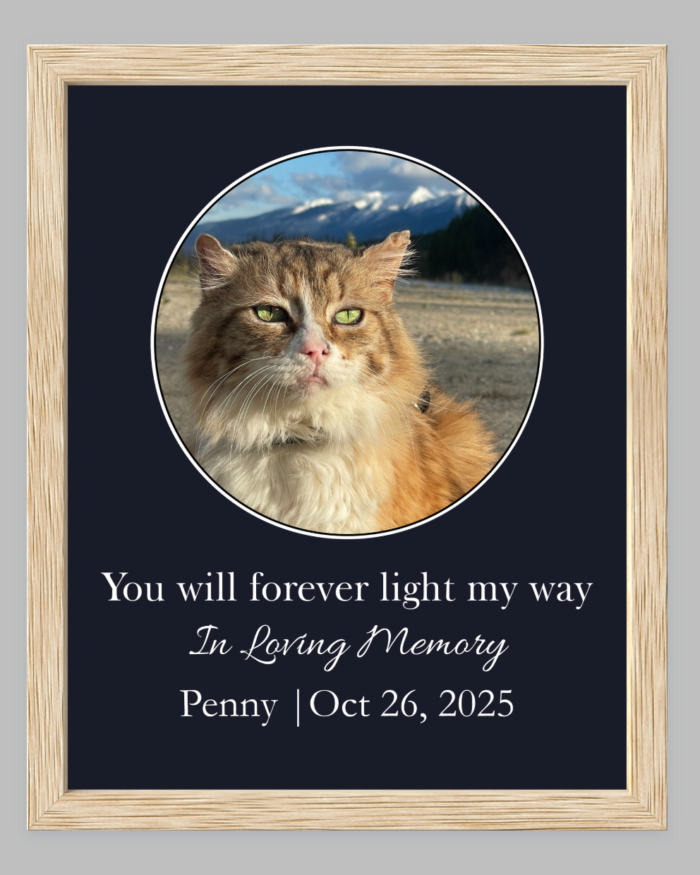 You Will Forever Light My Way Memorial Tribute