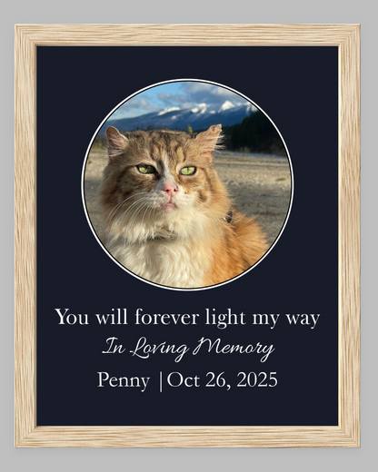 You Will Forever Light My Way Memorial Tribute