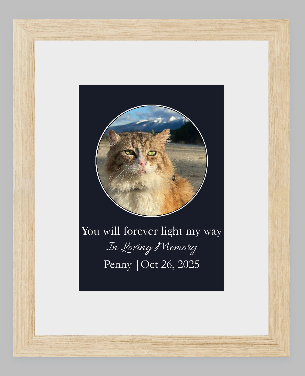 You Will Forever Light My Way Memorial Tribute