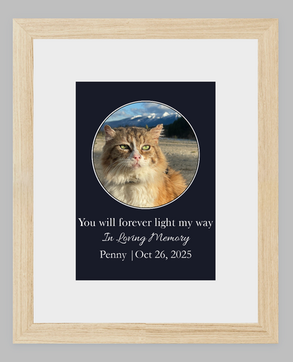 You Will Forever Light My Way Memorial Tribute