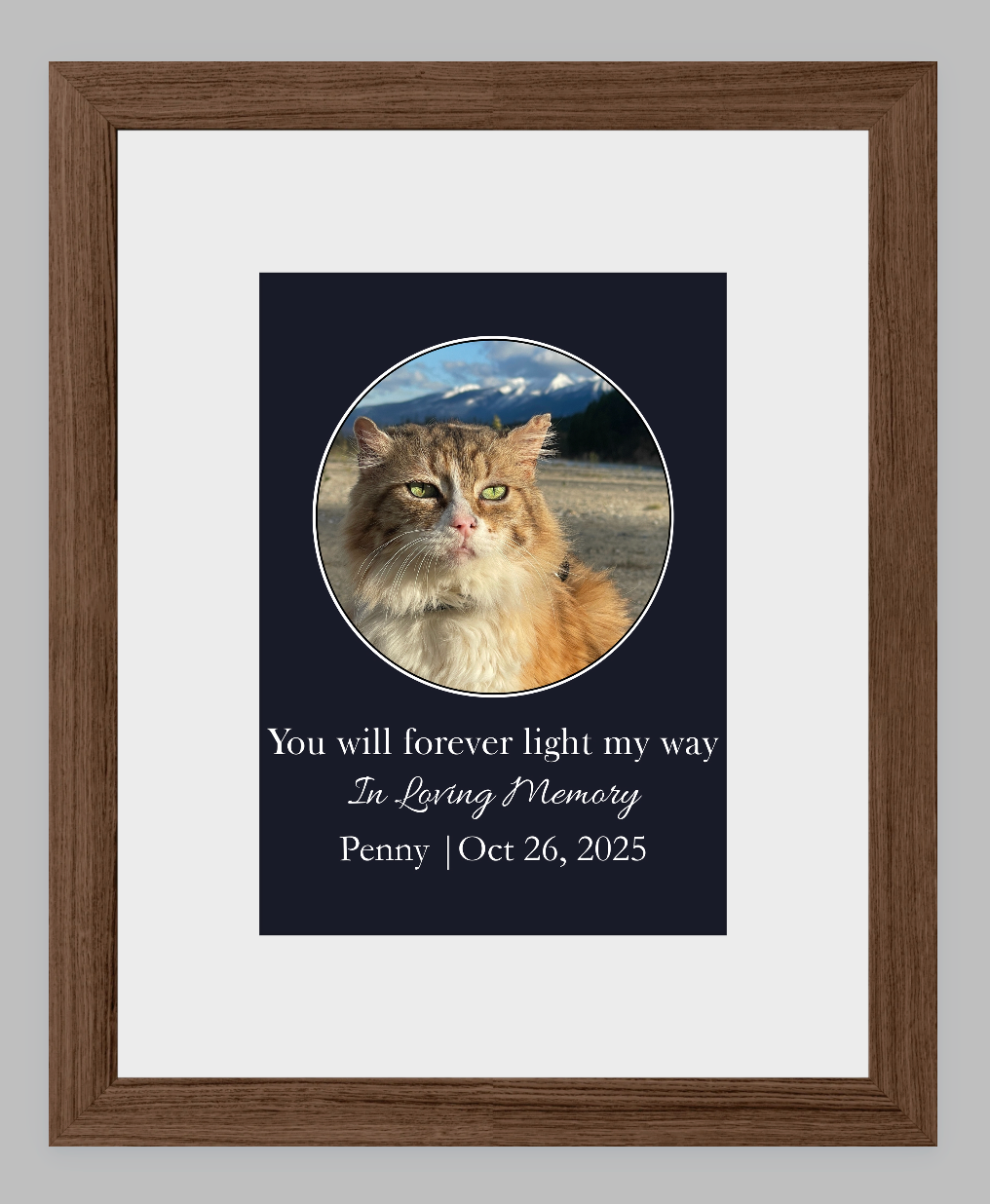 You Will Forever Light My Way Memorial Tribute