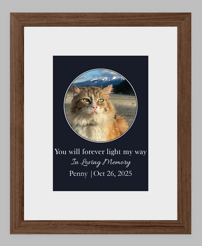 You Will Forever Light My Way Memorial Tribute