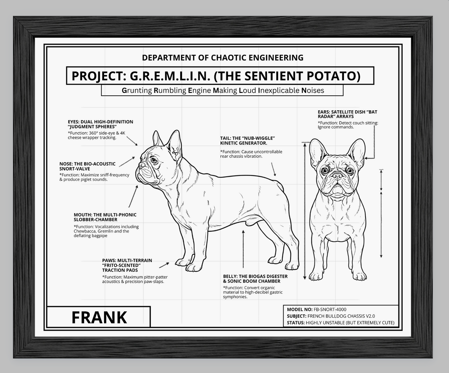 The Personalized Frenchie Blueprint