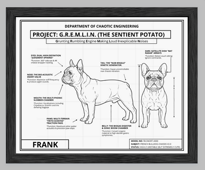The Personalized Frenchie Blueprint