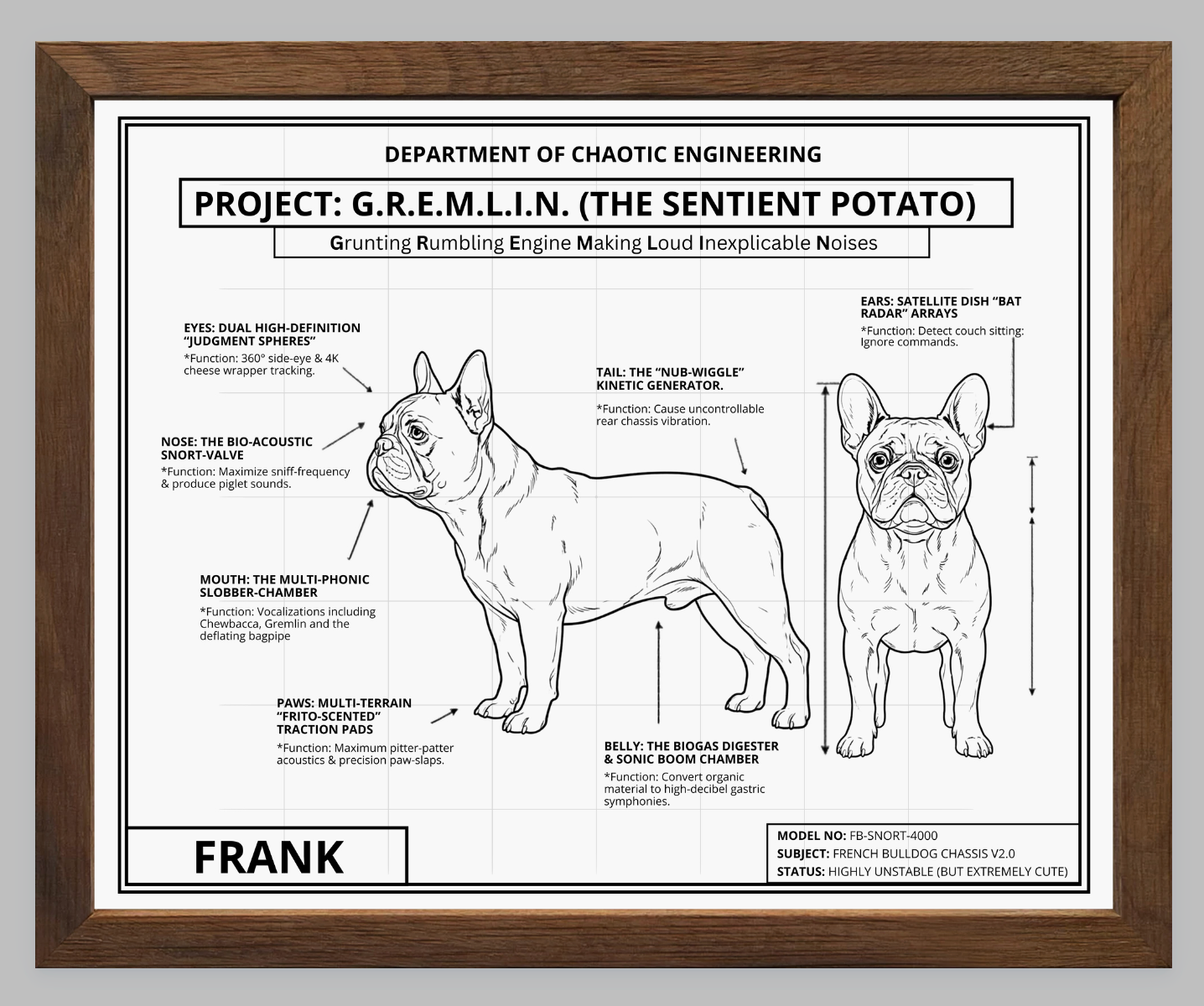 The Personalized Frenchie Blueprint