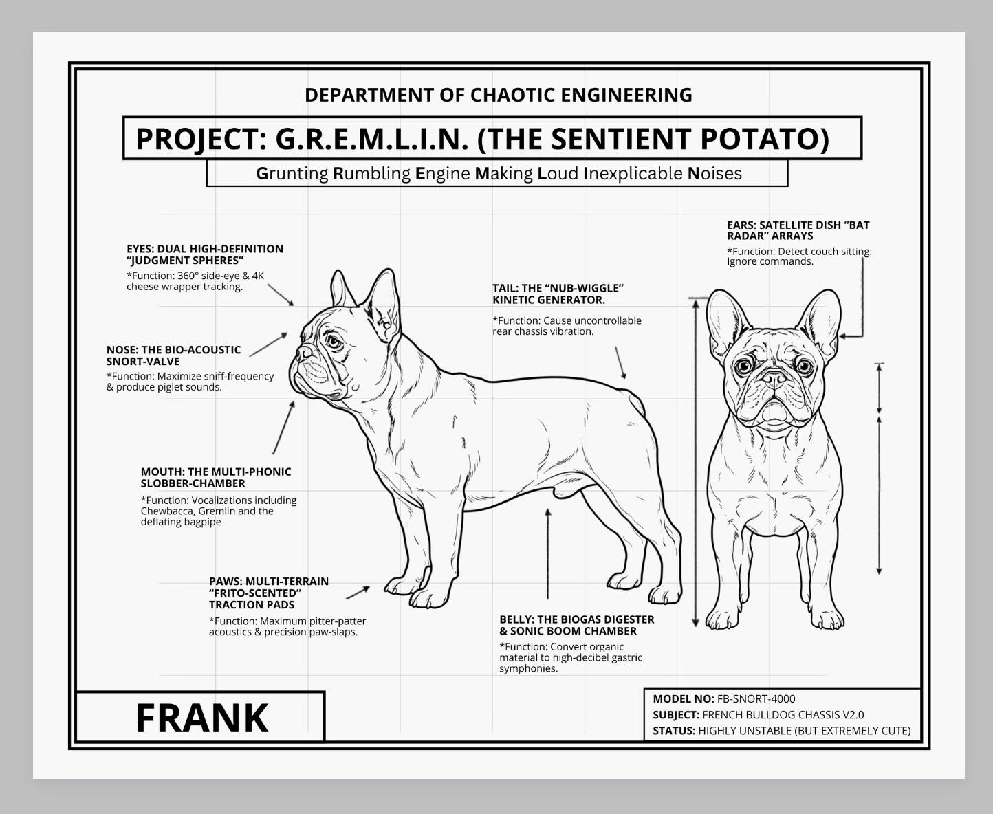 The Personalized Frenchie Blueprint