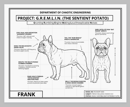 The Personalized Frenchie Blueprint