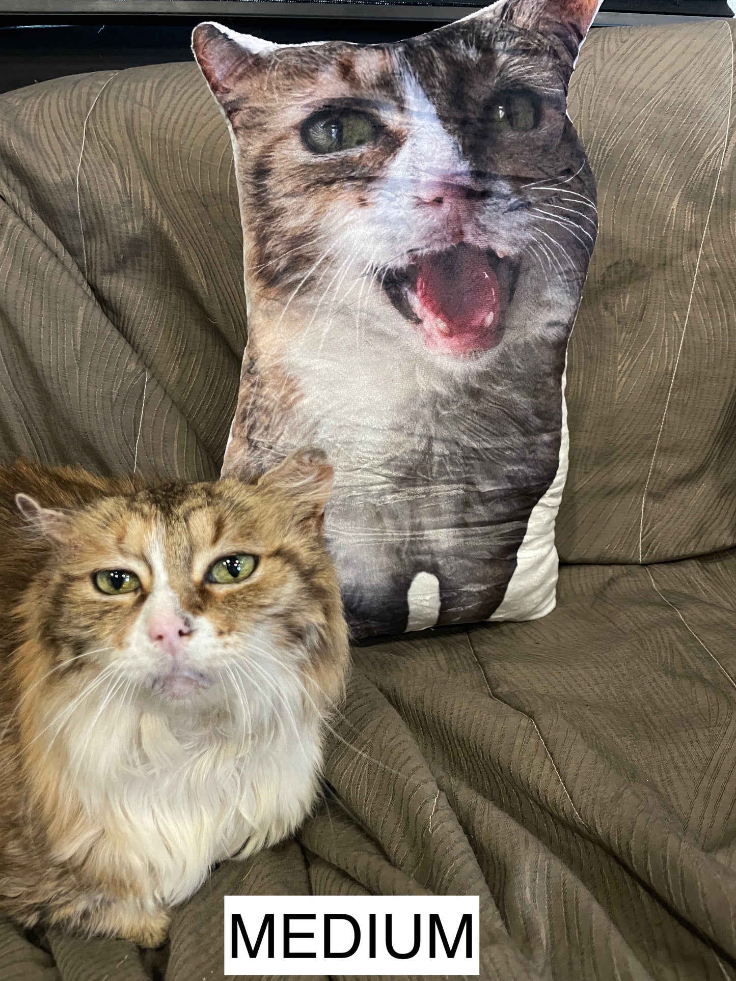 The Ultimate Snuggle Pillow