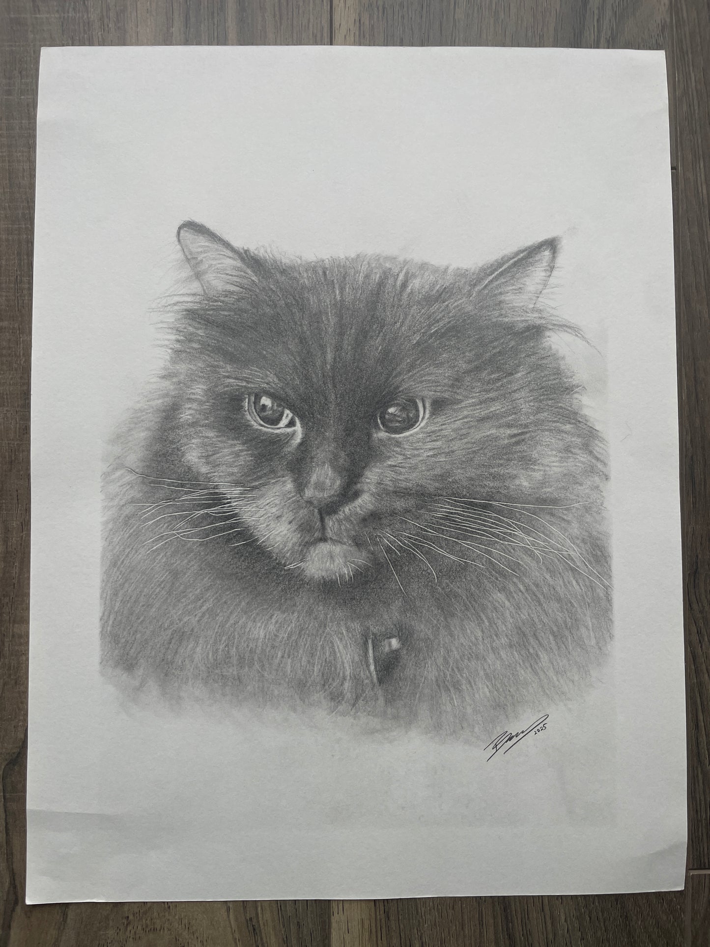 Hand Drawn Pet Portraits 9x12"