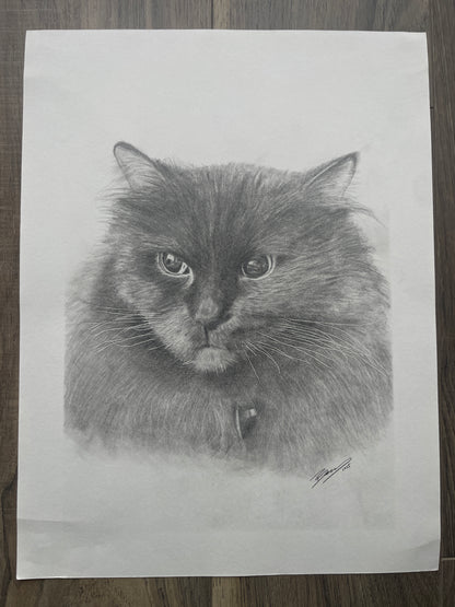 Hand Drawn Pet Portraits 9x12"