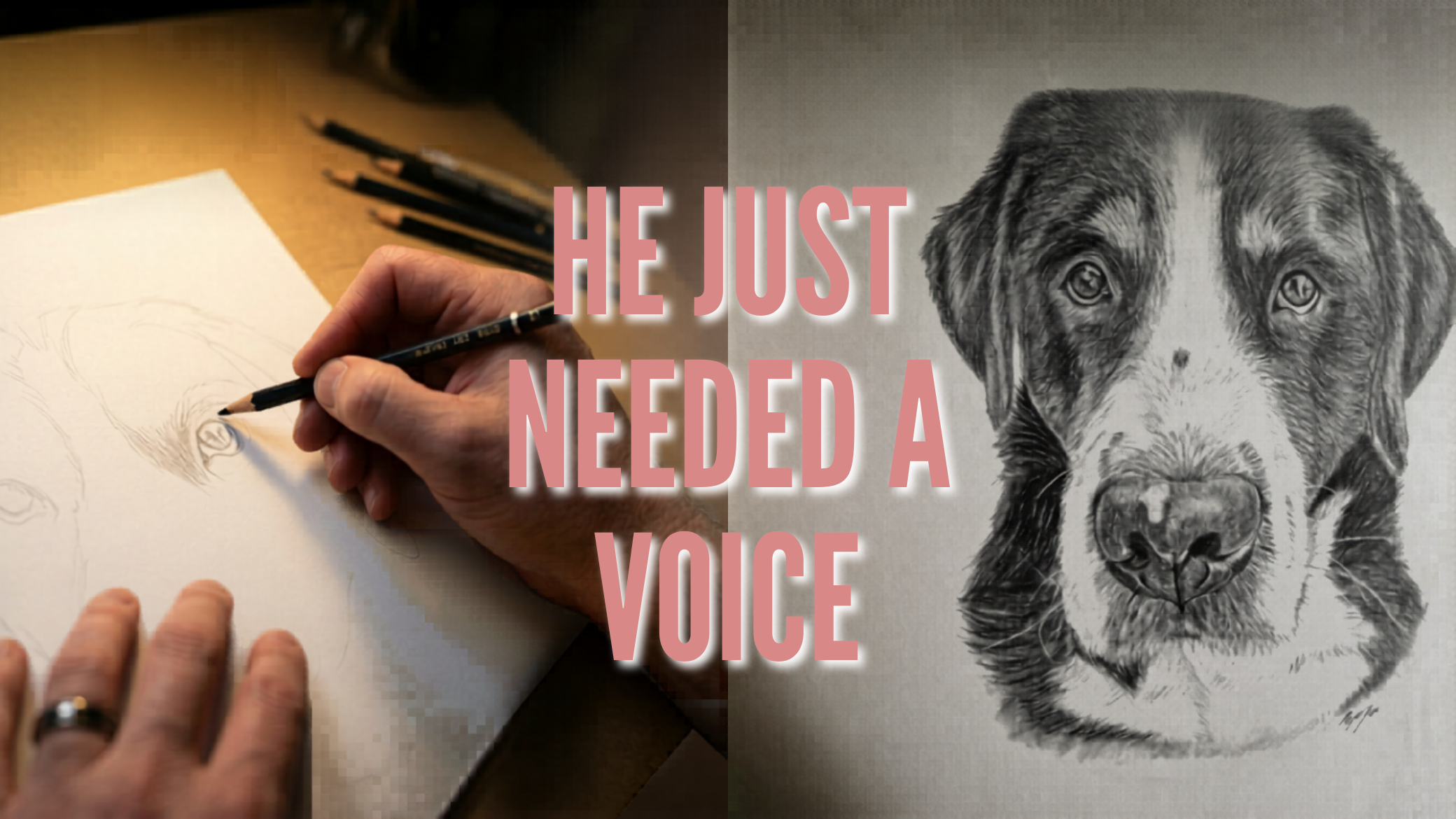 Load video: Pet portrait