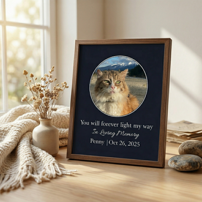 You Will Forever Light My Way Memorial Tribute