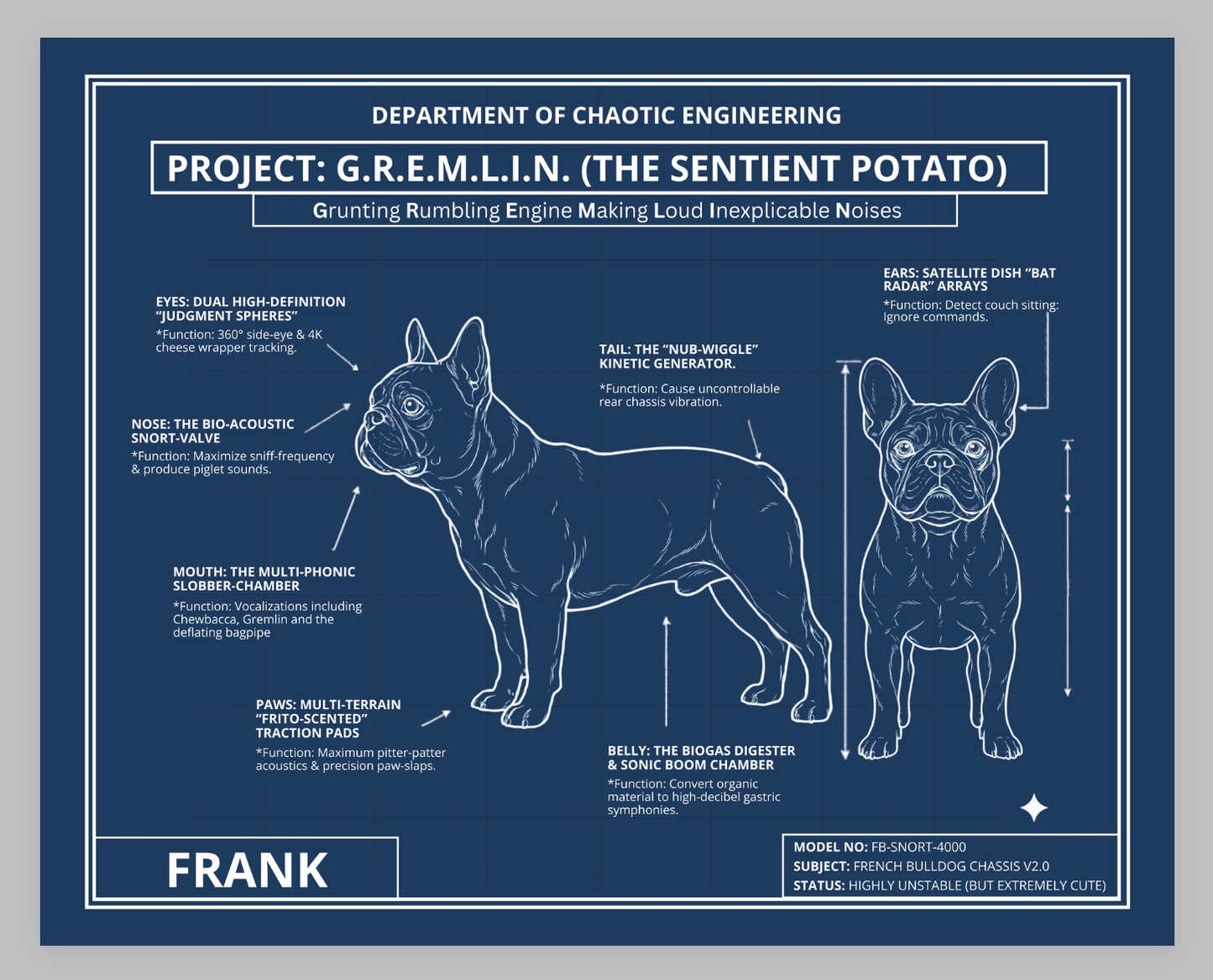 The Personalized Frenchie Blueprint