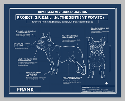 The Personalized Frenchie Blueprint