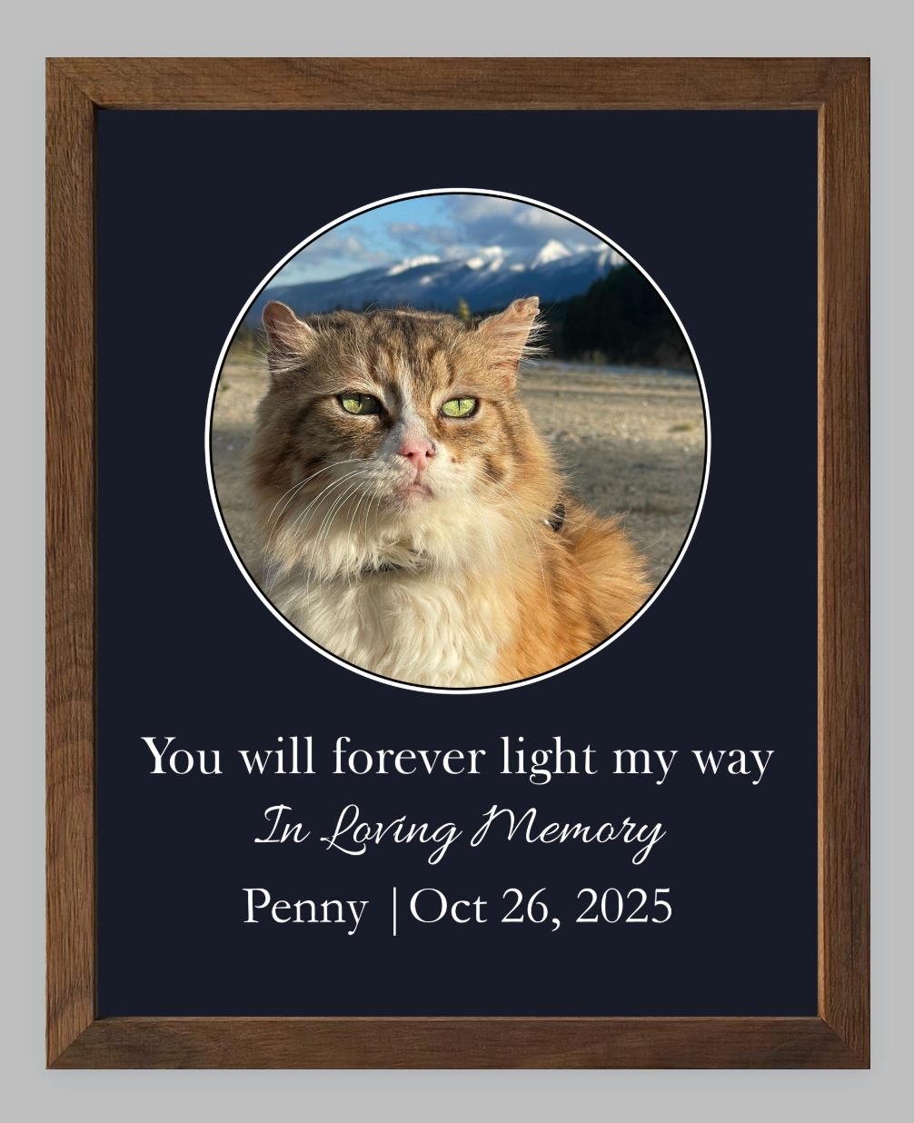 You Will Forever Light My Way Memorial Tribute