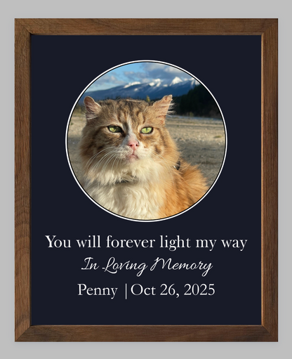 You Will Forever Light My Way Memorial Tribute