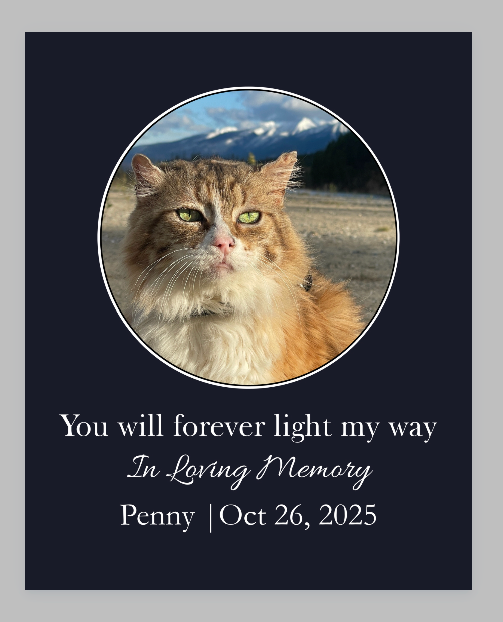 You Will Forever Light My Way Memorial Tribute