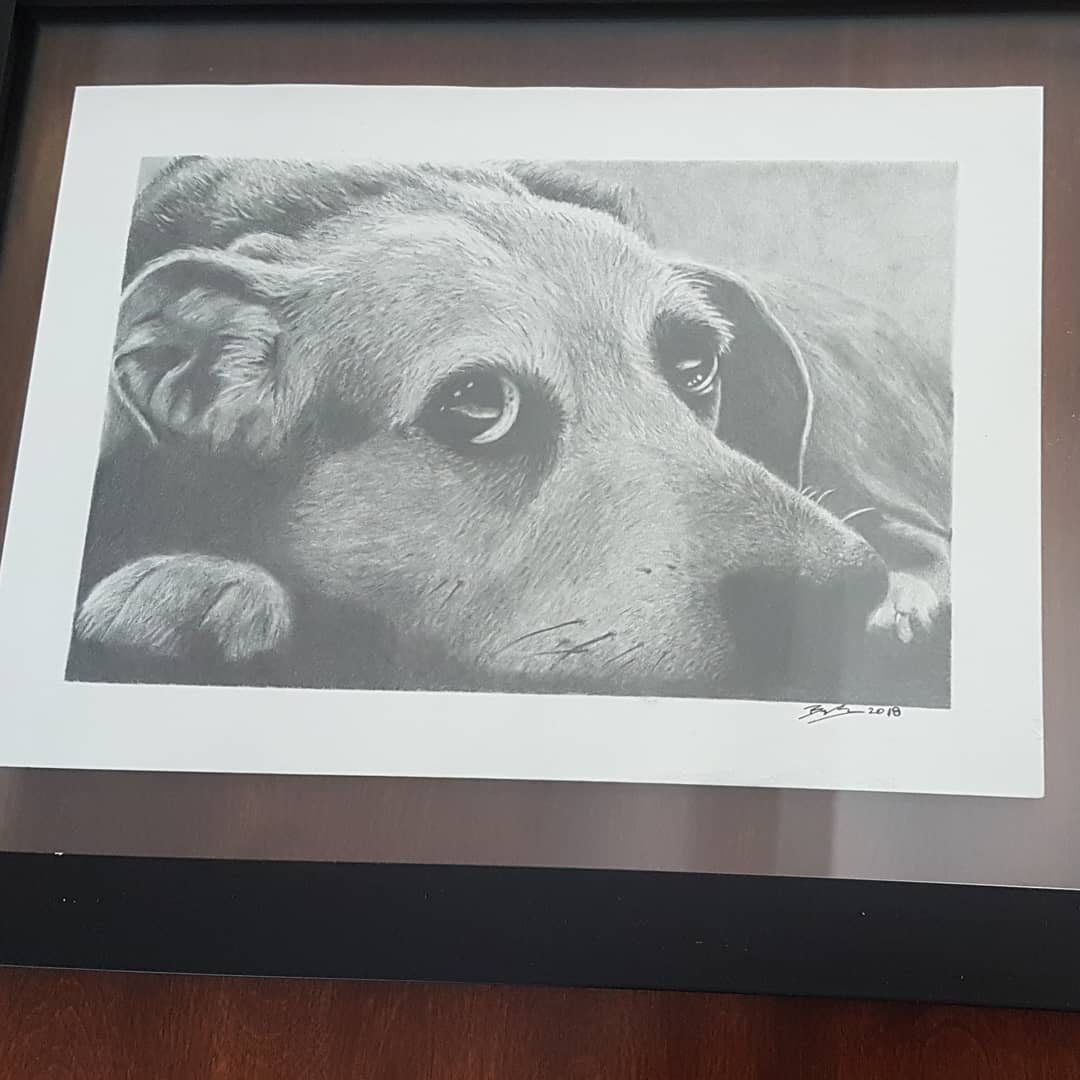 Hand Drawn Pet Portraits 9x12"