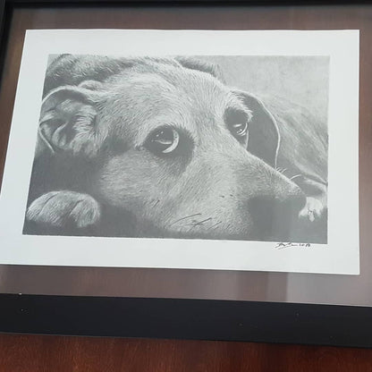 Hand Drawn Pet Portraits 9x12"