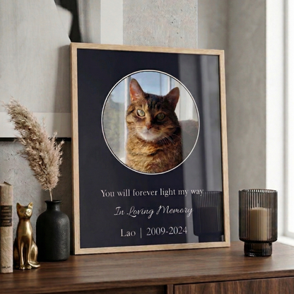 You Will Forever Light My Way Memorial Tribute